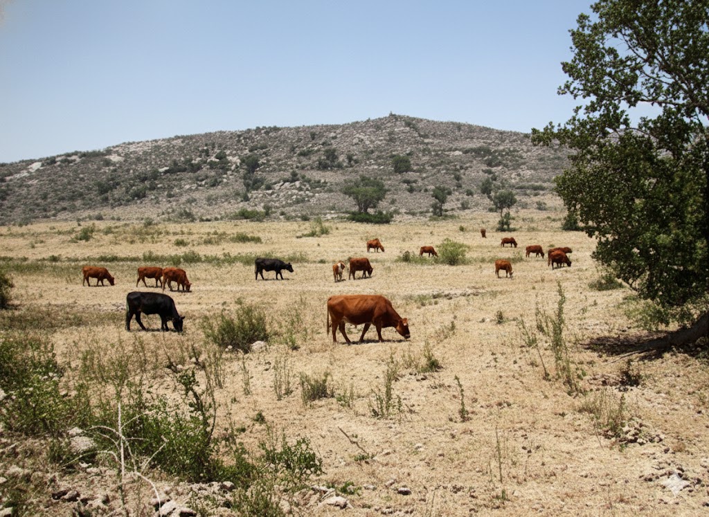 village of Gollapalli