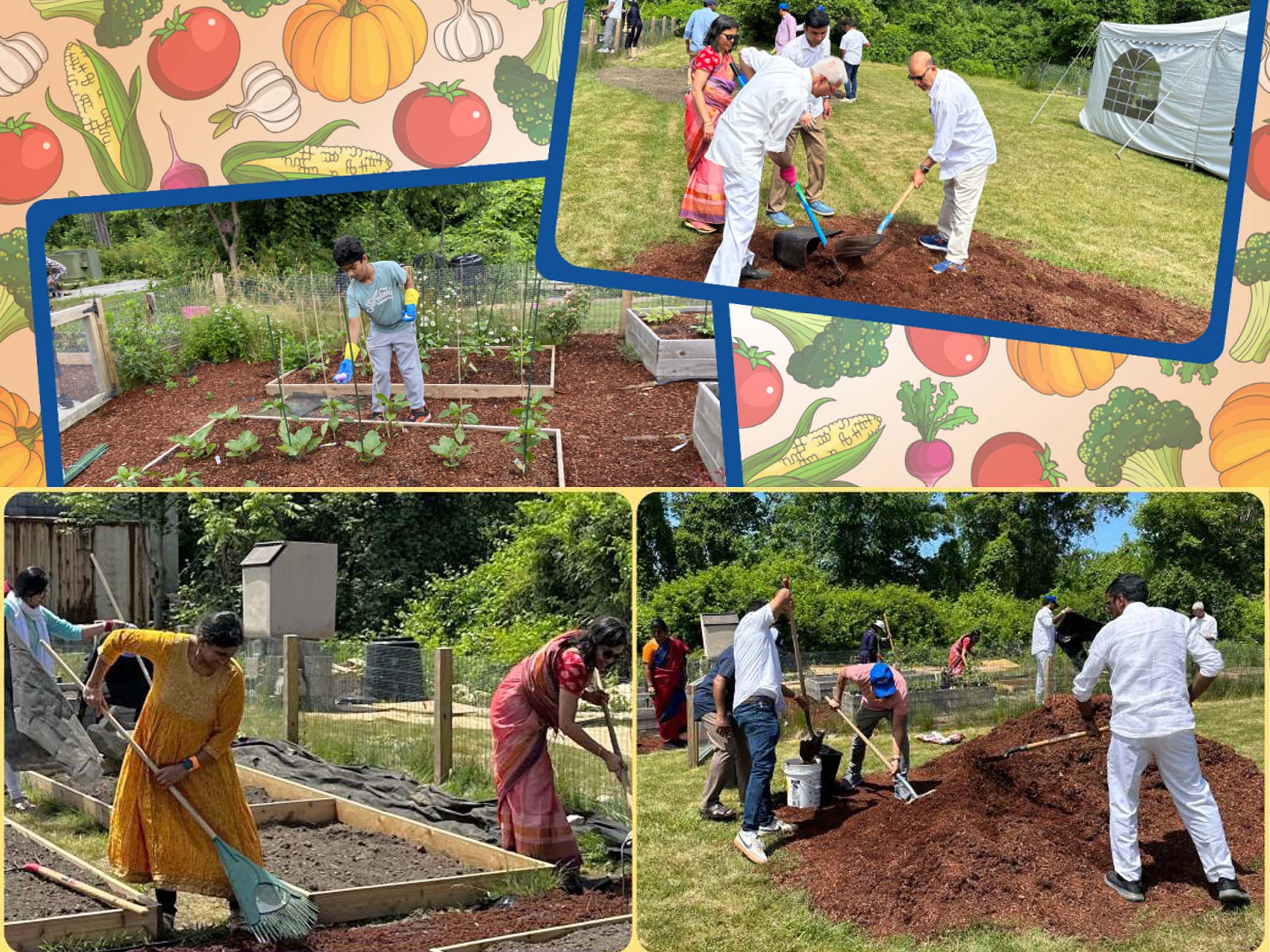 Region 1 (Northeastern states) - Sai Center in Boston have been cultivating a garden since 2023