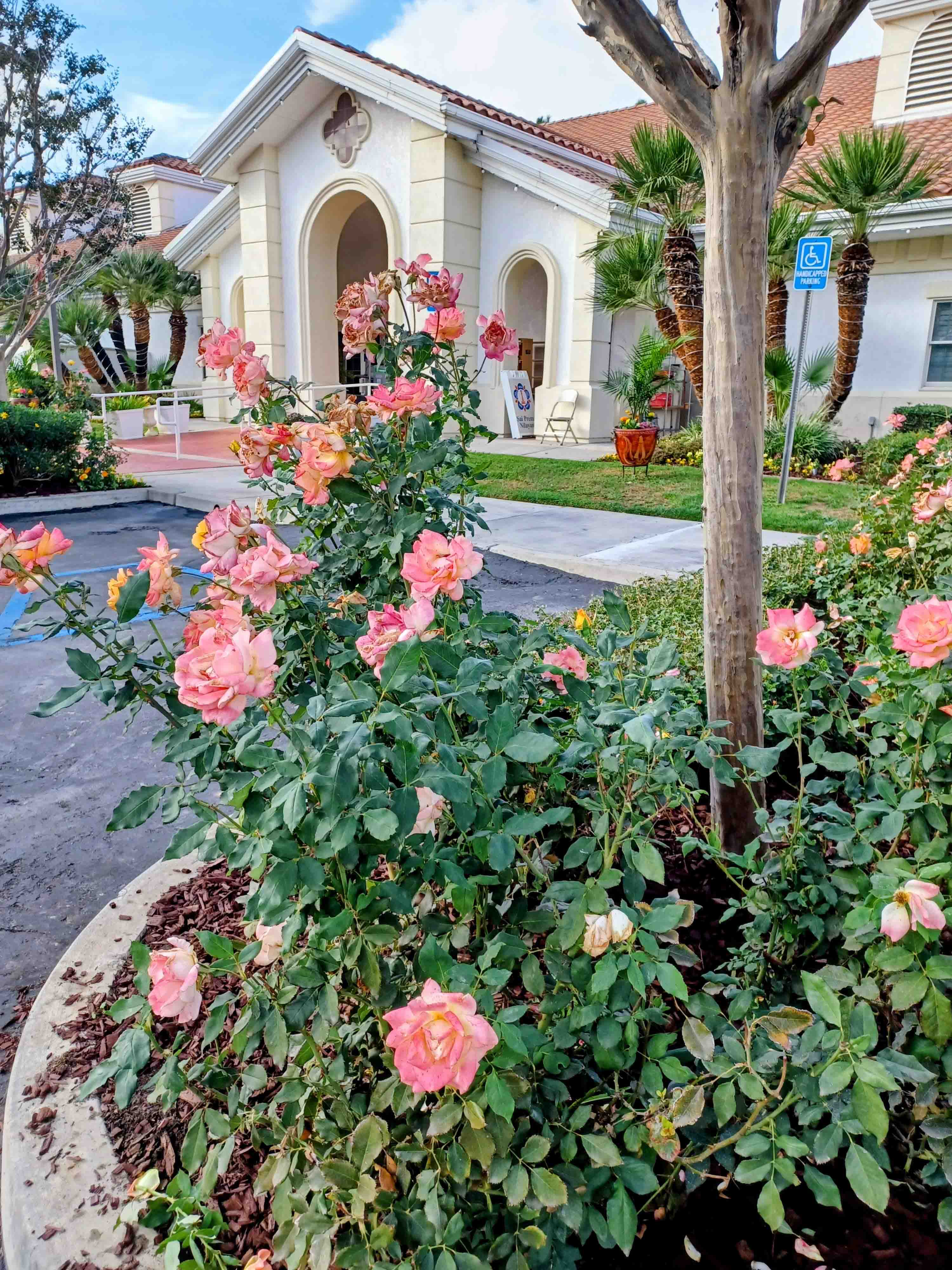 Sai Prema Nilayam - California-2